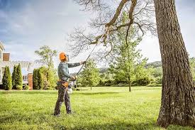 Best Lawn Watering Services  in Cleveland, TX