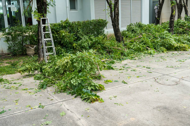Best Lawn Irrigation Installation and Maintenance  in Cleveland, TX